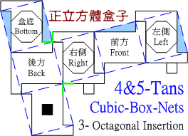 4&5-Tans Covering a Cubic Box with folding Buckles